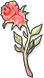 Eternal Rose