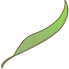 Feather Leaf