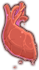 Immortal Heart