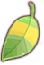Raccoon Leaf