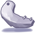 Armor Shard
