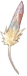 Harpy’s Feather