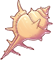 Murex Shell