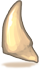 Dog Teeth