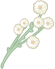 Wild Daisies