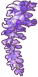 Wisteria!