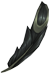 Black Feather
