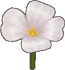 Lonely Flower