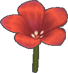 Lovelorn Flower