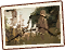 Broken photos
