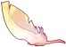 Goddess' Wings