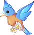 Robin