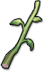 Mountain Celery