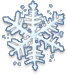 Snow Flower