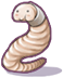 Nutritious Worm