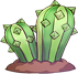 Flowerless cactus