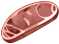 Original barbecue