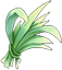 Green Honey Grass