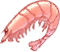 Atoll Red Shrimp