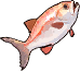 Stranded Dried Fish