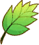Item 902075