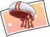 Clear Sky Choir Headwear Voucher