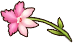 Liquor Flower Mouth