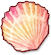 Colorful Shell