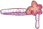 Shidarezakura[1]