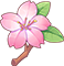 Fantasy Sakura