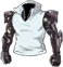 Armour