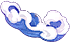Mouth