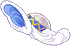 Wave Knight [1]