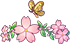 Attracted Butterfly
