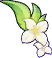 Lily Prf
