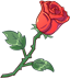 Starlot's Rose