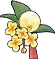 Osmanthus  Prf