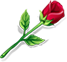 Happy Rose