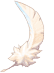 Feather of Angel Wing