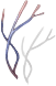 Sinew of Bear