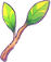 Evergreen mistletoe fragments