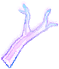 Dimensional branches