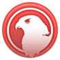 Falcon Perception