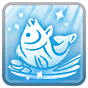 Sea Bream Continental Seal