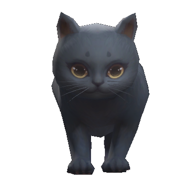 Black Cat·K full pet preview