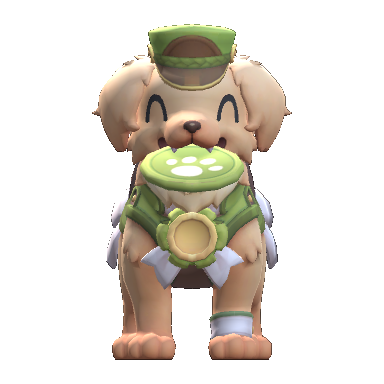Leader Drummer · Wang Wang full pet preview
